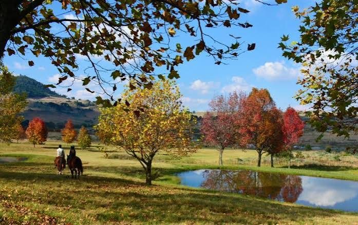 Illustrative open green highlands landscape